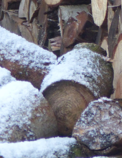 Lansmann: Winterdienst